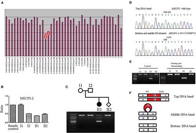 Corrigendum: Case Report: Prenatal Diagnosis for a Rett Syndrome Family Caused by a Novel MECP2 Deletion With Heteroduplexes of PCR Product